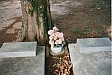 Cemetery-WesleyChapel1996(MarionJasperHatchett).jpg